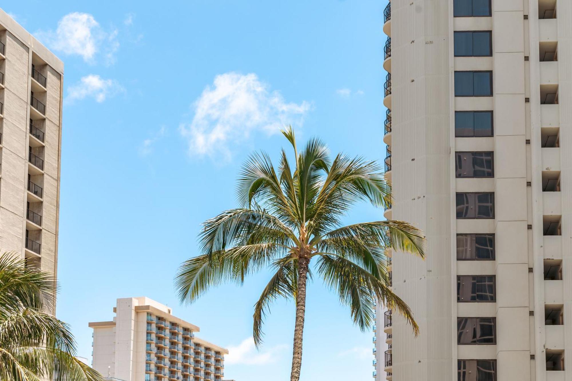 Tropical Bliss, Mountain View Condo Near Waikiki Beach With Free Parking Honolulu Extérieur photo